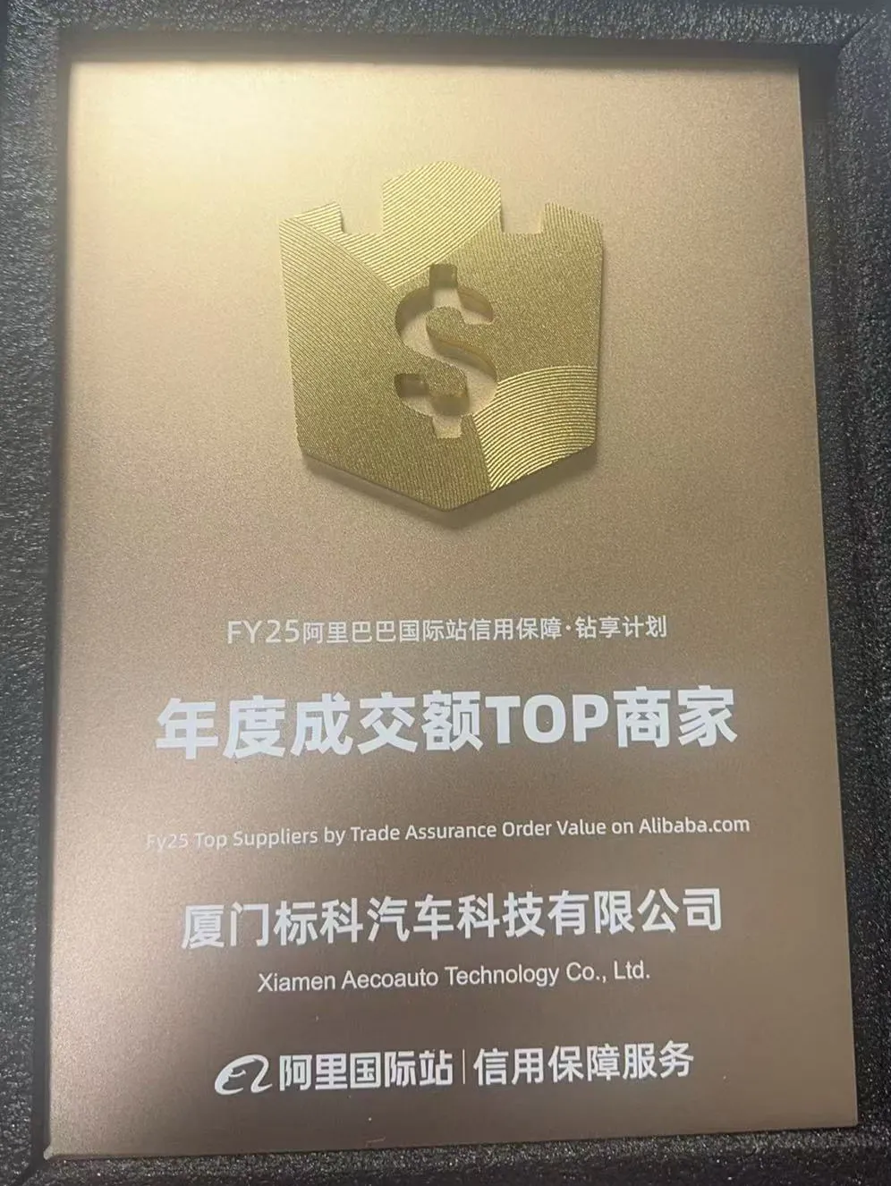 Onnittelut Xiamen Aecoauto Technology Co., Ltd.